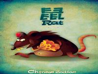 生肖鼠致命的诱惑有啥