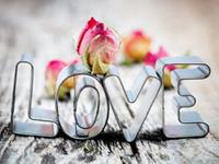 对爱情一心一意的生肖女