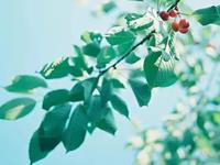 塔罗牌占卜你们目前的感情状况