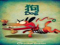 衰运缠身！生肖狗要注意的月份