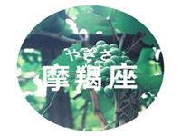 摩羯座该如何立足职场