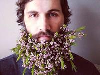 那些依然幼稚的生肖大叔