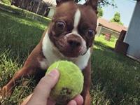 占卜你下半年会脱单吗