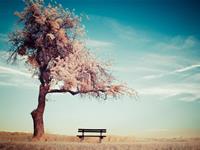 谁是最易寂寞的生肖君