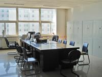 什么样的工作环境适合金牛座