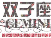 双子座对另一半有什么要求