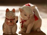 测你该如何省钱