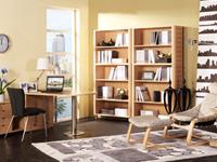 五大邪物影响居家风水