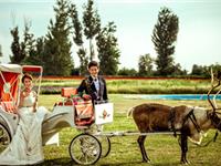 哪些星男愿意为另一半砸重金