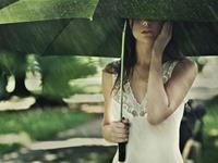 谁是脾气最急躁的生肖君