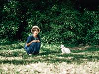 这些生肖年底前会有财运