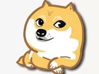 哪些星座的单身狗比例最高