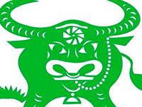 近期内生肖牛的健康状况