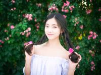 下半年会遇见爱情的生肖