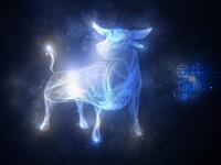 醒来拿手机，金牛座最先看什么