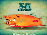 生肖猪君的理财致富之路