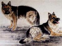 生肖狗中秋出游最强攻略