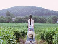 不甘于平稳生活的生肖