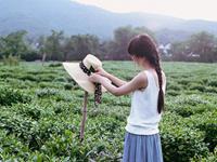 感情中知进退的三大生肖女