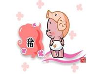 揭秘生肖猪的恋爱特点