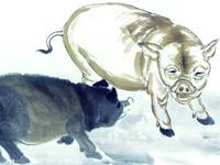 属猪2018年运势及运程 2018年属猪人全年每月运势