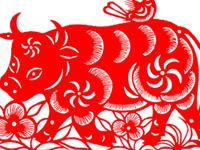 生肖牛，你的10月职场备战