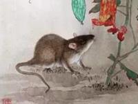 属鼠男会拿什么爱你