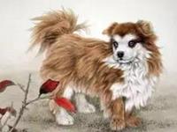 属狗男会拿什么爱你