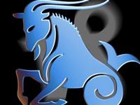 摩羯女在外的打拼日常