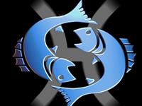 双鱼女在外的打拼日常