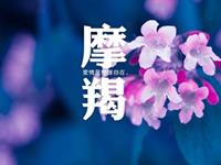 摩羯座为何会觉得感情不如从前