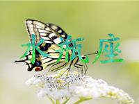 水瓶座是否会留恋上一段感情