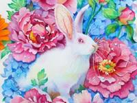 生肖兔年前不可错过的好机遇