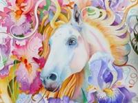 属马2017年运势及运程 属马人2017年每月运势