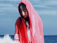 李云天2017年生肖狗运势详细版