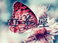 满分10分，白羊座的人生得多少分