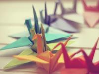 11月份运气爆棚的生肖