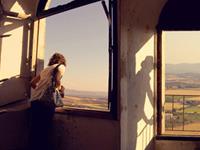 揭晓生肖狗最适宜职业