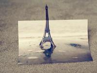 婚后会更加疼另一半的生肖