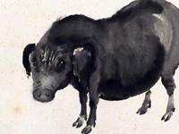 2007年属猪的人2018年运势大全及破解