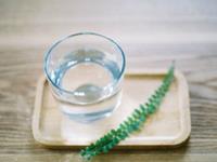 李居明2017鸡年生肖兔运势