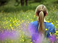 宋韶光2017年生肖猪整体运程