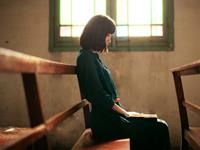 生肖狗一生会因为什么而走衰运