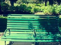 生肖狗喜欢人的表现方式