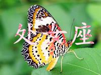 处女座的爱情回头率高吗