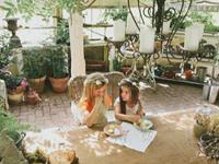 羲邑师姐2017年生肖牛年度运势