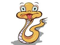 生肖蛇，你的十二月工作运如何