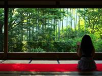 2017将觅得人生伴侣的生肖