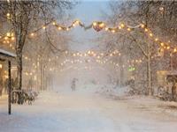 圣诞节生肖猪最想收到的礼物