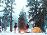 占卜你现在的生活需要什么样的调剂